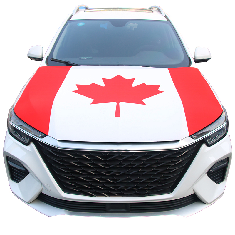 National Flags Car Engine Hood - Car Accessories Egypt 评论和价格