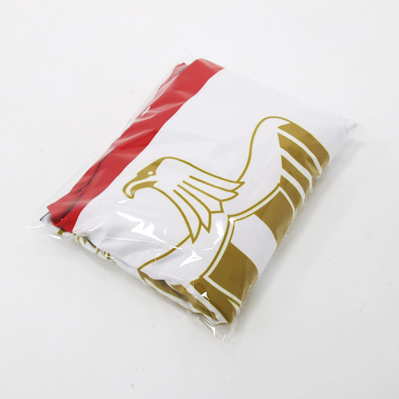 3.8x53ft Egypt Flag Car Engine - Car Accessories Egypt 评论和价格